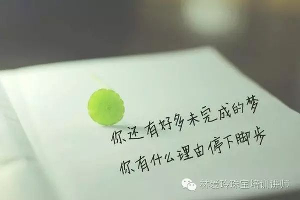 态度美学_美国态度转变_美国的生活方式和工作态度