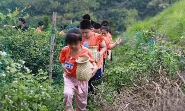 山区孩子营养午餐_山区儿童营养餐计划_儿童营养配餐项目策划书