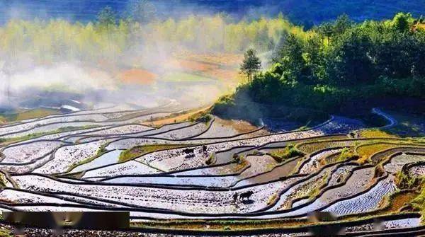 山区孩子营养午餐_儿童营养配餐项目策划书_山区儿童营养餐计划