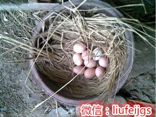 住校趣事作文_在校的趣事_住校生活中的趣事