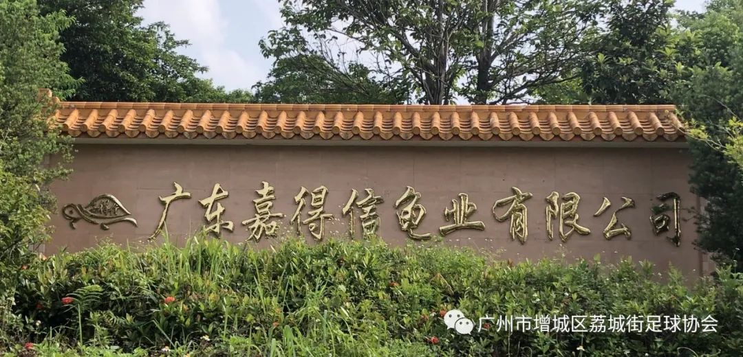 足球历史最强豪门排名_豪门最强足球排名历史榜_豪门最强足球排名历史第一